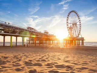 Vakantiepark Den Haag Omgeving 19