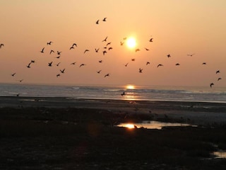 Holiday park Hollum Environment 14