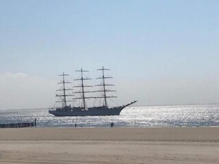 Parco vacanze Dishoek Ambiente 38