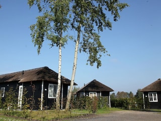Vakantiepark Hoge Hexel Buitenaudio-opname 1