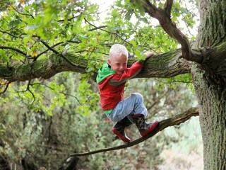 Parc de vacances Hoge Hexel  40