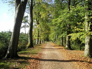 Vakantiepark Bad Bentheim Omgeving 19
