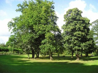 Parque de vacaciones Bad Bentheim Entorno 11
