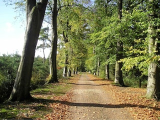 Ferienpark Bad Bentheim Umgebung 25