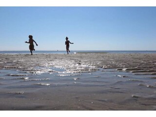 Vakantiepark Dishoek Omgeving 19