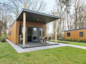 Parc de vacances Lodge de luxe avec air conditionné et lave-vaisselle, au bord d'un lac - Hexel élevé - image1