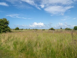 Parco vacanze Hollum  29