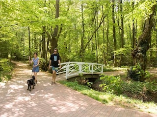 Holiday park Bad Bentheim Environment 25