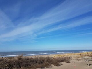 Vakantiepark Scheveningen Omgeving 35