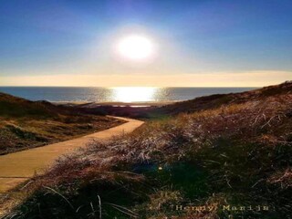 Vakantiepark Dishoek Omgeving 18