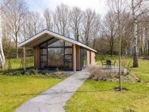 Parque de vacaciones Lodge moderno con aire acondicionado, en Twente verde - Hexel alto - image1