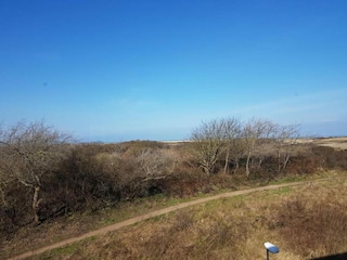 Holiday park Scheveningen Environment 8