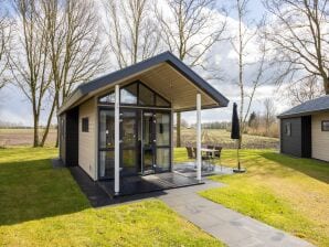 Vakantiepark Leuk tiny house met airco, in het groene Twente - Hoge Hexel - image1