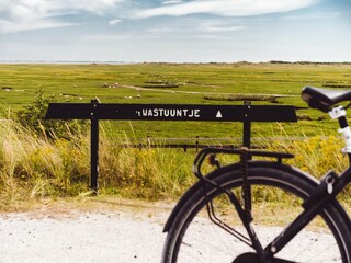 Vakantiepark Hollum Omgeving 13