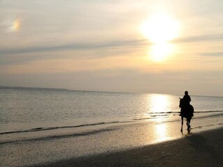 Parc de vacances Hollum Environnement 21