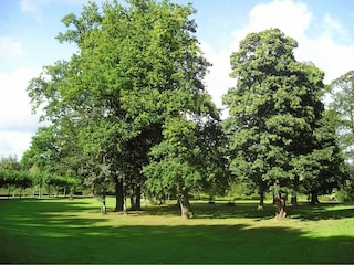 Vakantiepark Bad Bentheim Omgeving 16