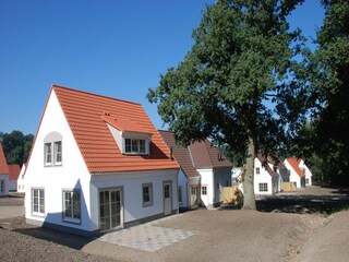Vakantiepark Bad Bentheim Buitenaudio-opname 2