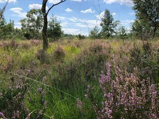 Parc de vacances Bad Bentheim Environnement 14