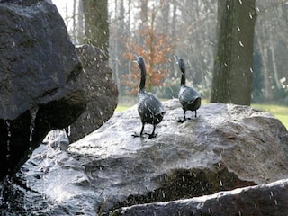 Vakantiepark Bad Bentheim Omgeving 10