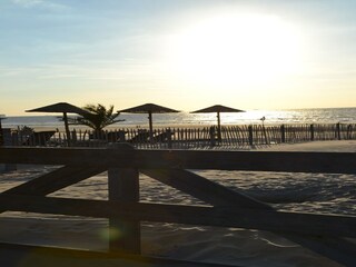 Parc de vacances Westland Environnement 22