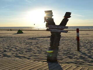 Vakantiepark Westland Omgeving 23