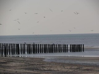 Ferienpark Dishoek Umgebung 33