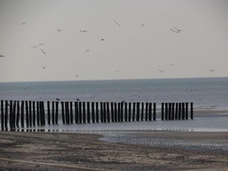 Parc de vacances Dishoek Environnement 33