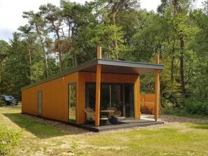 Pavillon de luxe climatisé, dans un parc de vacances, au bord d'un lac - Hexel élevé - image1