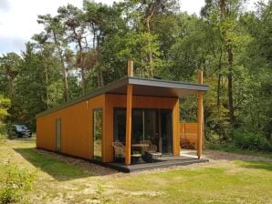 Luxe lodge met airco en afwasmachine, op een vakantiepark, bij een meer - Hoge Hexel - image1