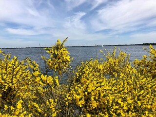 Parque de vacaciones Bad Bentheim Entorno 29