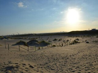 Parc de vacances Westland Environnement 19