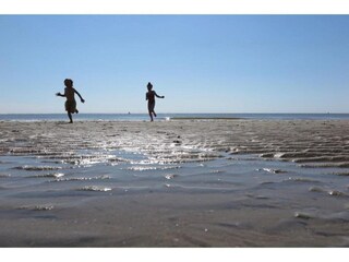 Vakantiepark Dishoek Omgeving 23