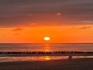 Ferienpark Dishoek Umgebung 19