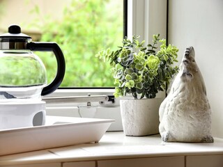 Parc de vacances Dalfsen Équipement 6