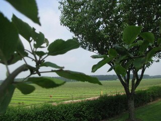 Vakantiepark Dalfsen Omgeving 27