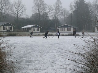 Vakantiepark Dalfsen Omgeving 20