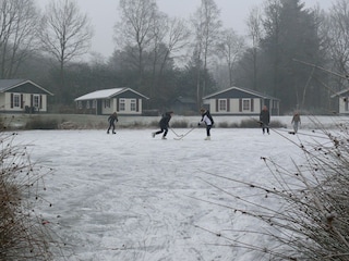 Vakantiepark Dalfsen Omgeving 24