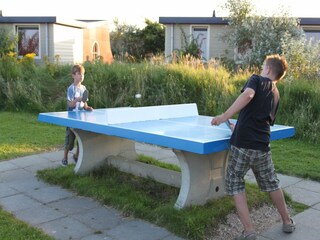 Holiday park Westland  25