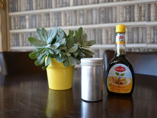 Holiday park Westland  37