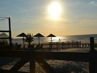 Vakantiepark Westland Omgeving 14
