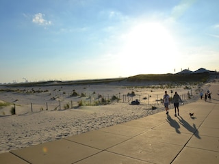Vakantiepark Westland Omgeving 15