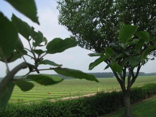 Vakantiepark Dalfsen Omgeving 11
