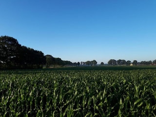 Ferienpark Dalfsen Umgebung 17