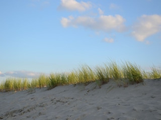 Parc de vacances Westland Environnement 20