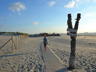 Vakantiepark Westland Omgeving 20