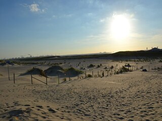 Parc de vacances Westland Environnement 21