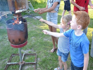 Parc de vacances Westland  34
