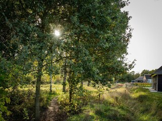 Ferienpark Heeze-Leende Umgebung 12