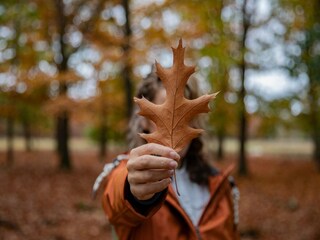 Parco vacanze Heeze-Leende  36