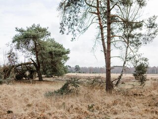 Vakantiepark Heeze-Leende Omgeving 12